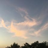 梦醒时分32815337头像