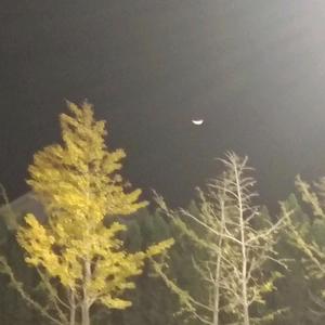 正大光明星空a9I头像