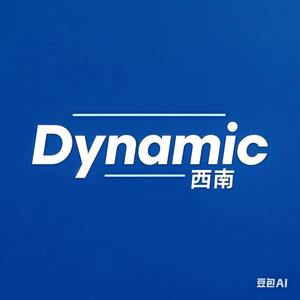 Dynamic西南头像