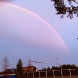 用心做事的265头像