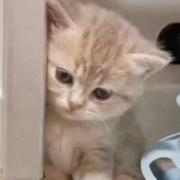 1323的个人资料头像