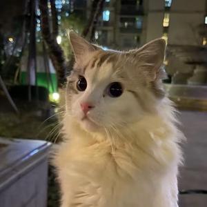 拍短剧的拾块钱头像