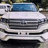 卧龙山强哥头像