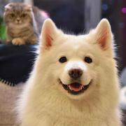 lees的个人资料头像