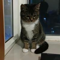 饺子不爱吃饺子123头像