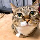 Jingle重名了的个人资料头像