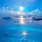 绎雪服饰头像