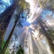 青春5973的个人资料头像