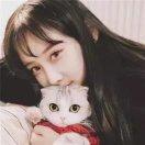 欢喜本尊的个人资料头像