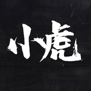 小虎探案