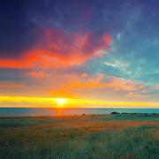 xlxc的个人资料头像