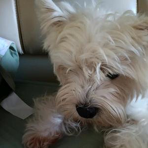 青涩旭日TKm头像