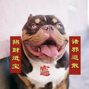 双瓜颗粒粉头像
