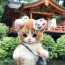 路人丁爱学习的个人资料头像