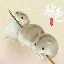 马新春的个人资料头像