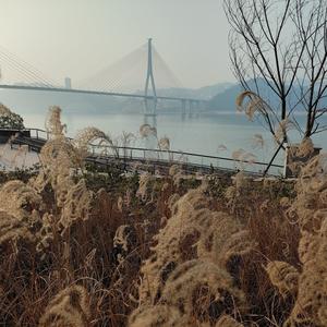 热情的海浪sQn头像
