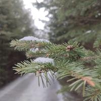 浩然爱啦啦头像