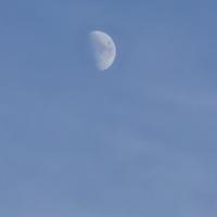 儒雅愿世间美好头像