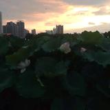 奇幻远山d7头像