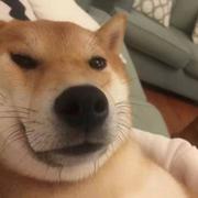 ohiyo的个人资料头像