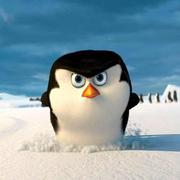 青爷的个人资料头像