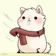 天澜之风的个人资料头像