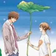 freelamb的个人资料头像