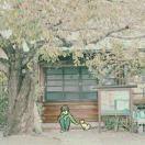 许高橙的个人资料头像