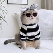 Owsmyf的个人资料头像