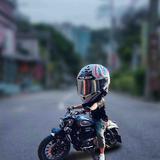 l子龙头像
