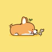 ShawnGoethe的个人资料头像