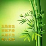 本心217569137头像
