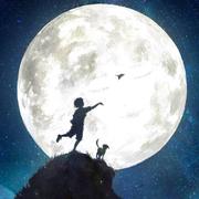 星光575的个人资料头像