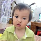 A来好运1头像