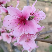 财大宝的个人资料头像