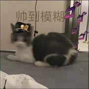 Eretzvaju的个人资料头像