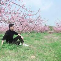 聂飞晕多多头像