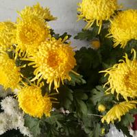 是缘分让你我相遇头像