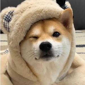 ko可熙头像