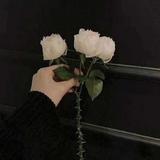 拂念936头像