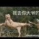 良伍2113头像