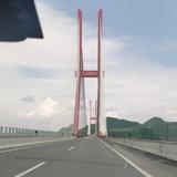 Goldsheep头像