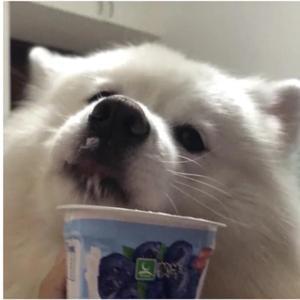 每天都在想俊凯头像