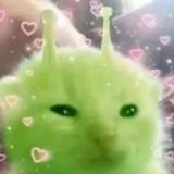 不要加糖谢谢啦头像