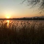 君26626的个人资料头像