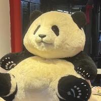 极光下的独角鲸头像