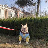 用户8361333344407头像