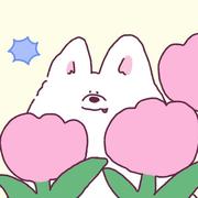 火火熊的个人资料头像