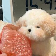 那个婷呀的个人资料头像