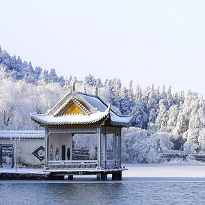 雪儿讲情感头像